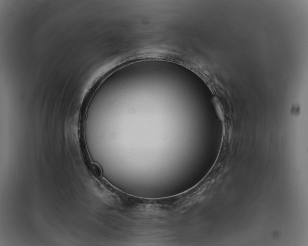 X0000100480244200806201636