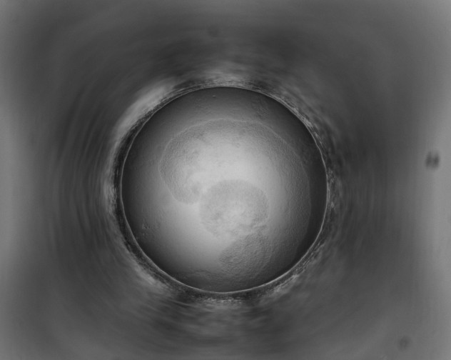 X0000100480245200806201636