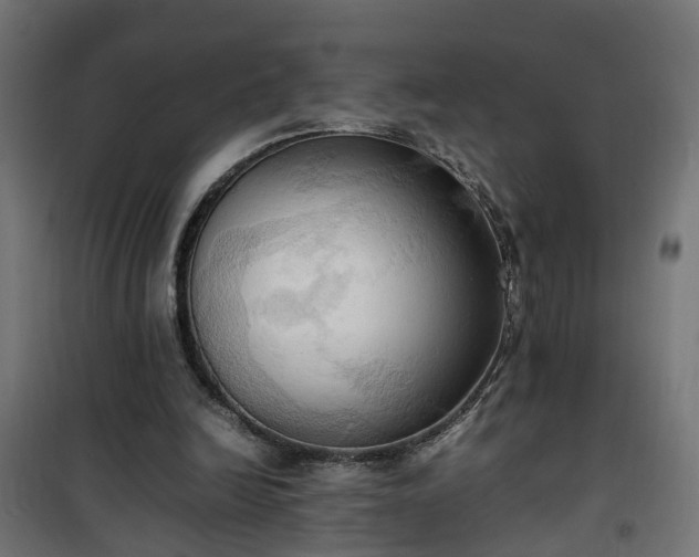 X0000100480246200806201636