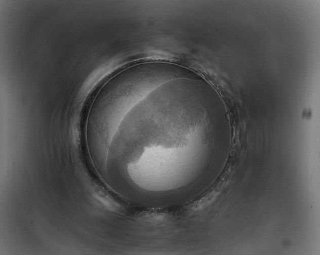 X0000100480247200806201636