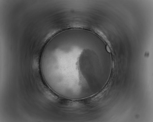 X0000100480249200806201636