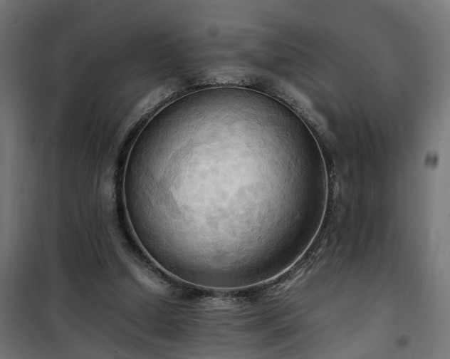 X0000100480250200806201636