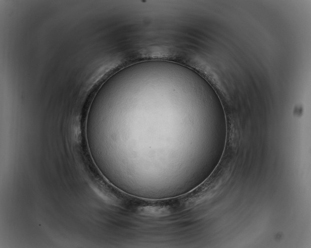 X0000100480251200806201636