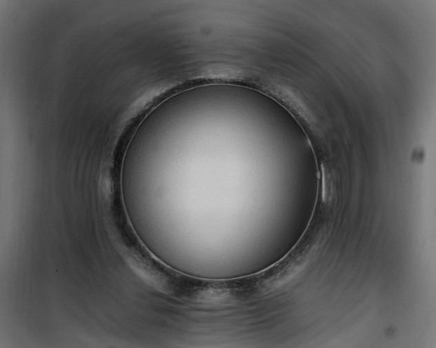 X0000100480252200806201636