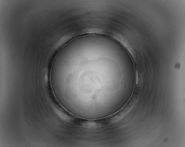 X0000100480253200806201636