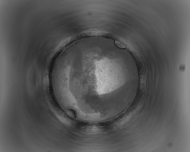 X0000100480254200806201636