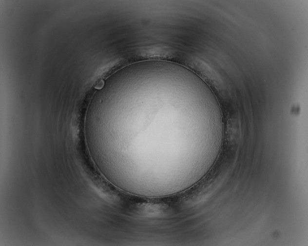 X0000100480255200806201636