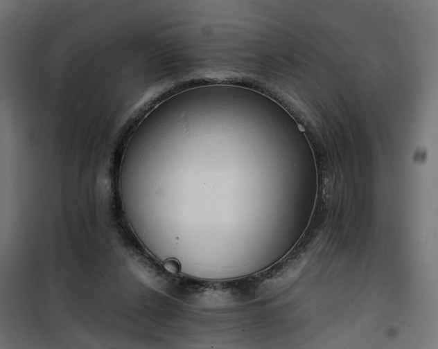 X0000100480256200806201636