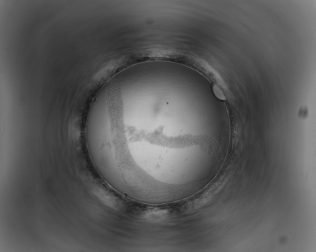 X0000100480257200806201636