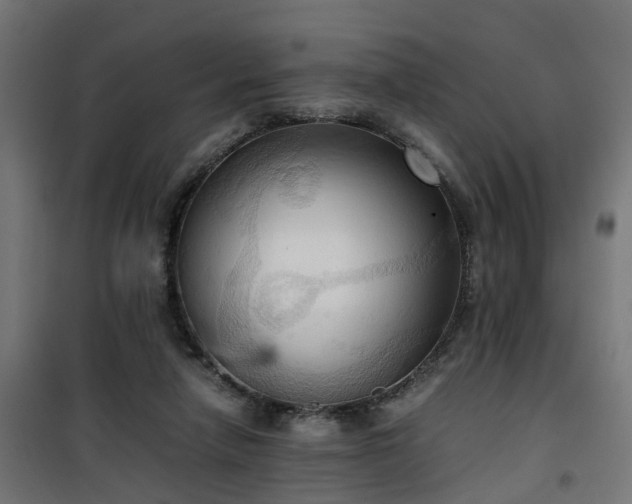 X0000100480258200806201636