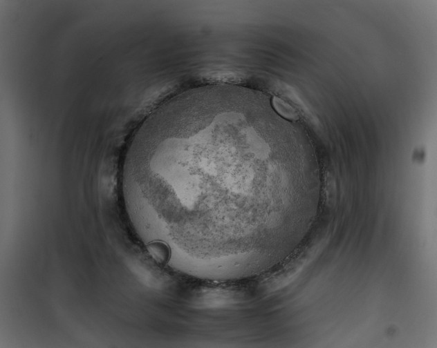 X0000100480259200806201636