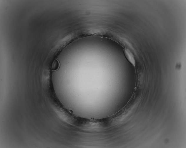 X0000100480260200806201636