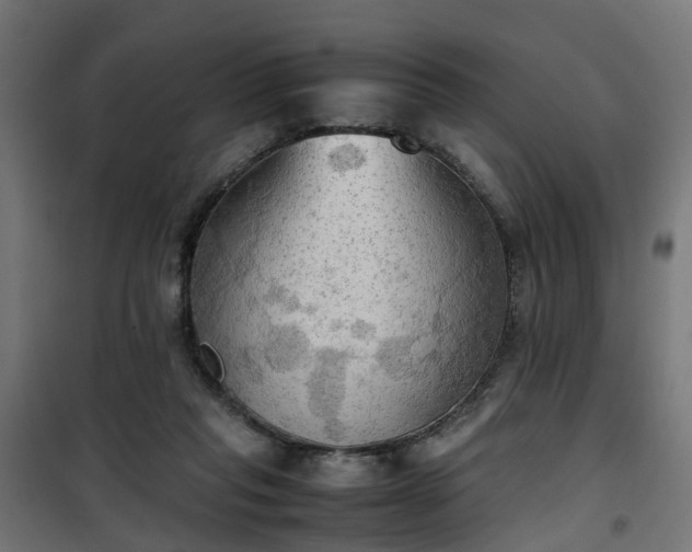X0000100480261200806201636