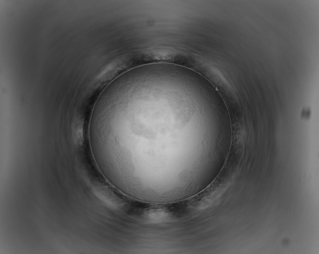 X0000100480262200806201637