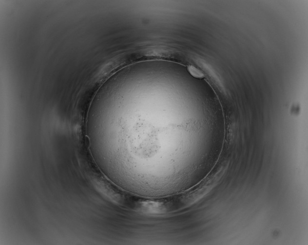 X0000100480265200806201637
