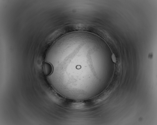 X0000100480266200806201637
