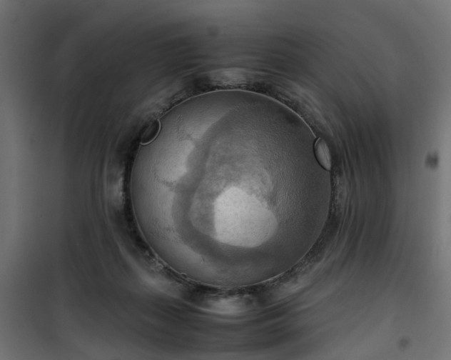 X0000100480267200806201637