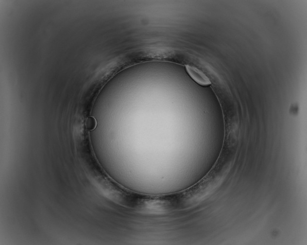 X0000100480268200806201637