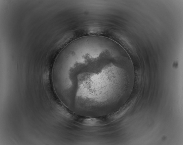 X0000100480269200806201637