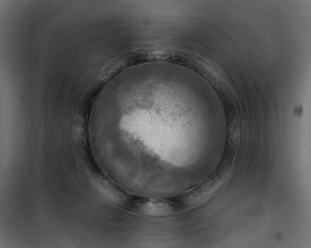 X0000100480270200806201637