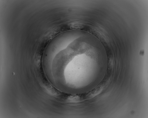 X0000100480271200806201637