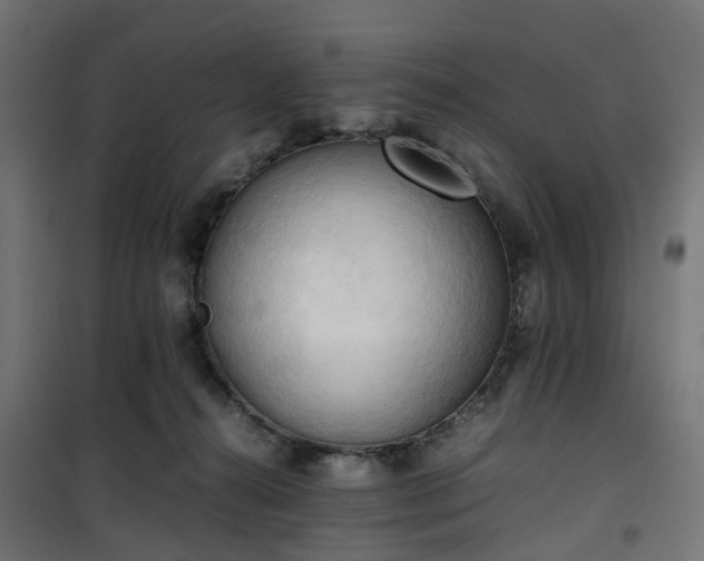 X0000100480272200806201637