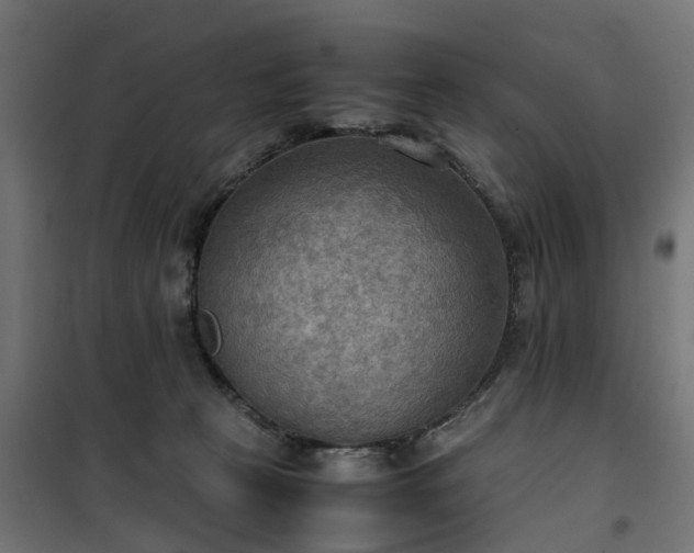 X0000100480273200806201637