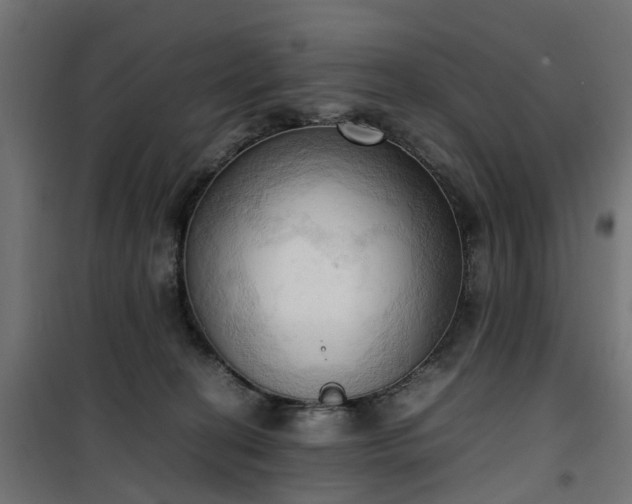 X0000100480274200806201637