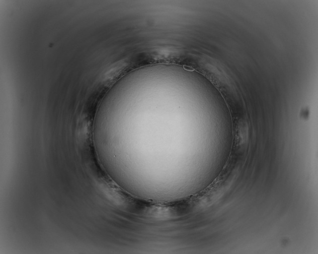 X0000100480276200806201637