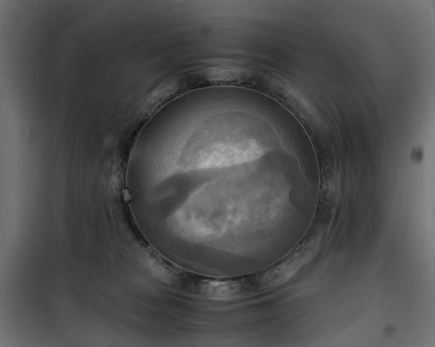 X0000100480277200806201637