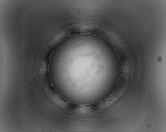 X0000100480278200806201637