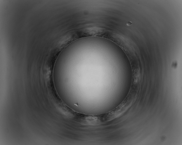 X0000100480279200806201637