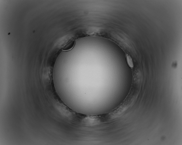 X0000100480280200806201637