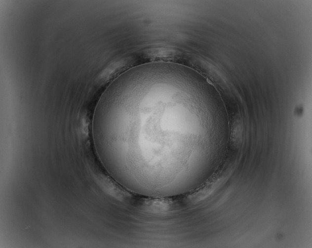 X0000100480282200806201637