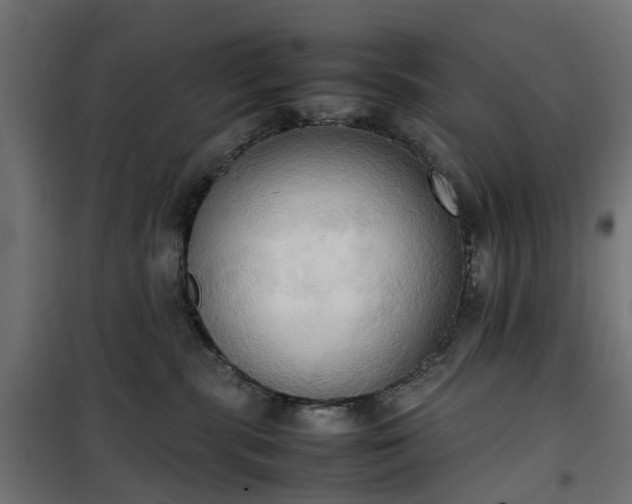 X0000100480283200806201637