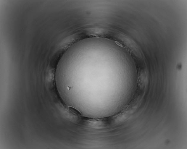 X0000100480284200806201637