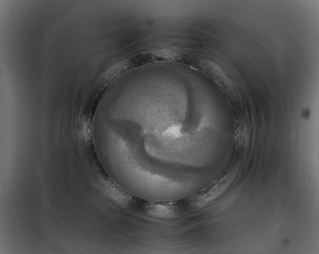 X0000100480285200806201637
