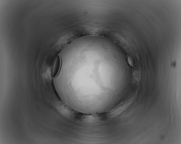 X0000100480286200806201637