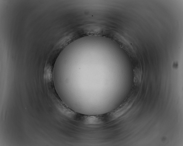 X0000100480287200806201637