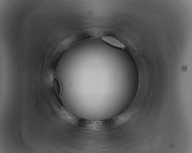 X0000100480288200806201637