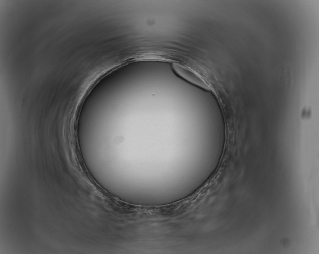 X0000100480289200806201636