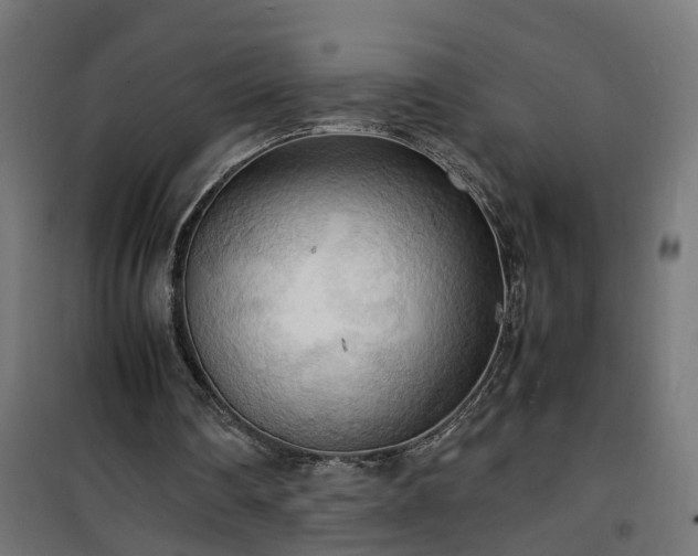 X0000100480290200806201636