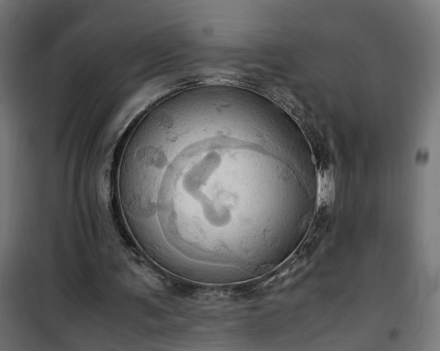 X0000100480291200806201636