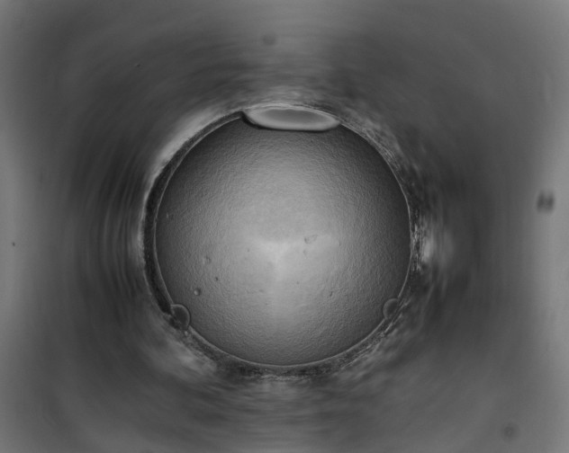 X0000100480292200806201636