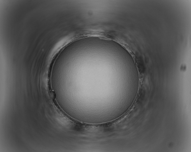 X0000100480293200806201636