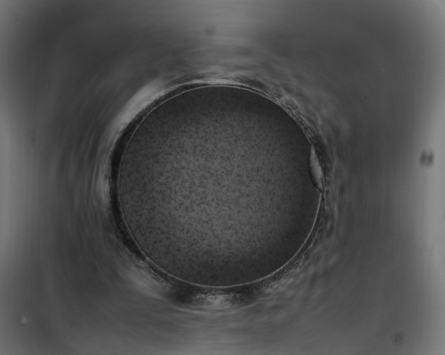 X0000100480295200806201636