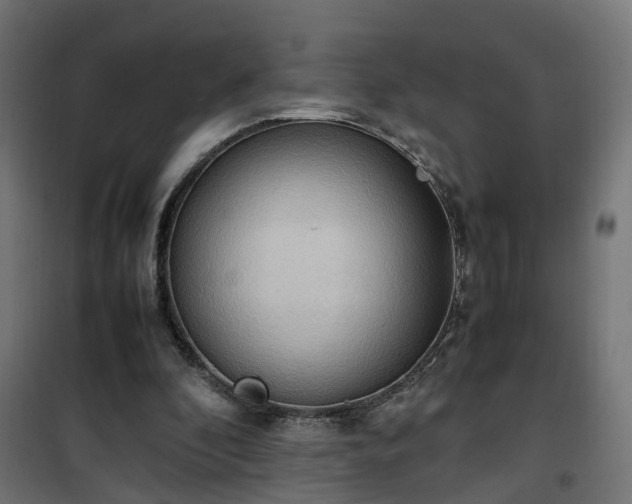 X0000100480296200806201636