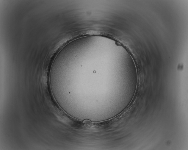 X0000100480297200806201636
