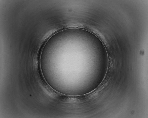 X0000100480298200806201636