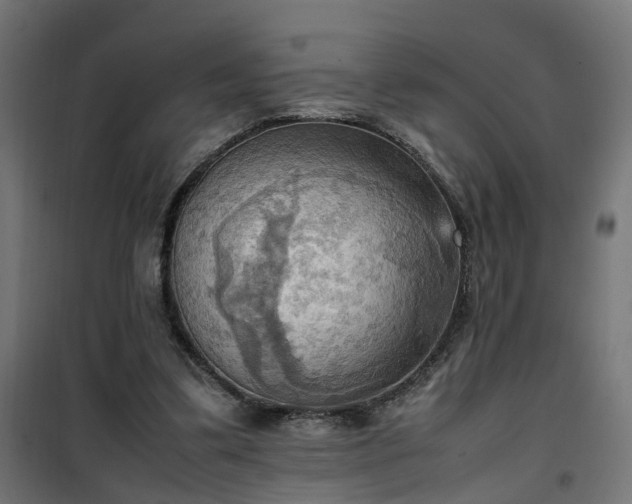 X0000100480299200806201636